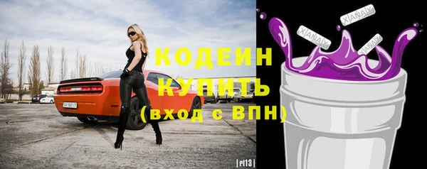 винт Няндома