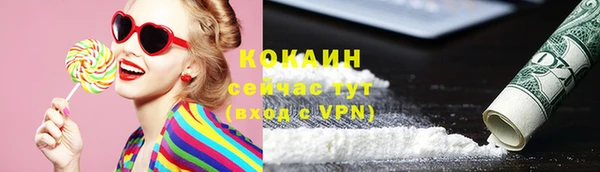 винт Няндома